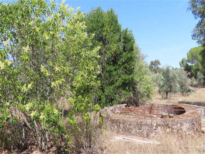 Image No.9-Propriété de 3 chambres à vendre à Castelo Branco