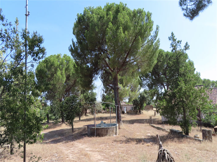 Image No.12-Propriété de 3 chambres à vendre à Castelo Branco