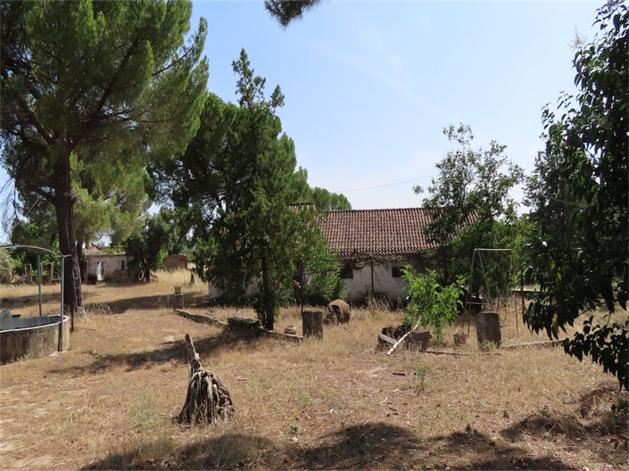 Image No.13-Propriété de 3 chambres à vendre à Castelo Branco
