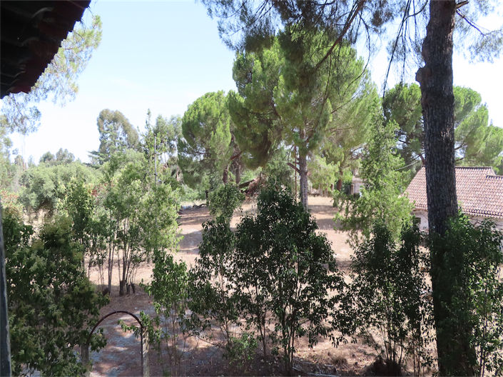 Image No.14-Propriété de 3 chambres à vendre à Castelo Branco