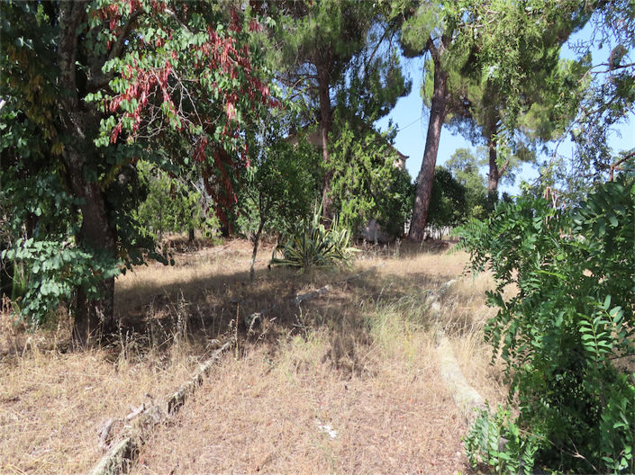 Image No.22-Propriété de 3 chambres à vendre à Castelo Branco