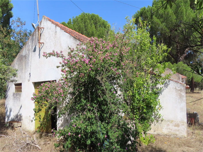 Image No.24-Propriété de 3 chambres à vendre à Castelo Branco