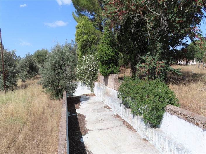 Image No.27-Propriété de 3 chambres à vendre à Castelo Branco