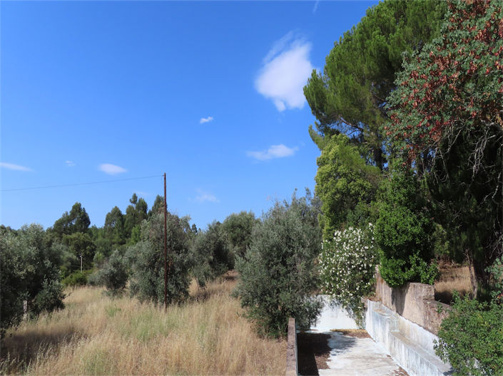 Image No.28-Propriété de 3 chambres à vendre à Castelo Branco