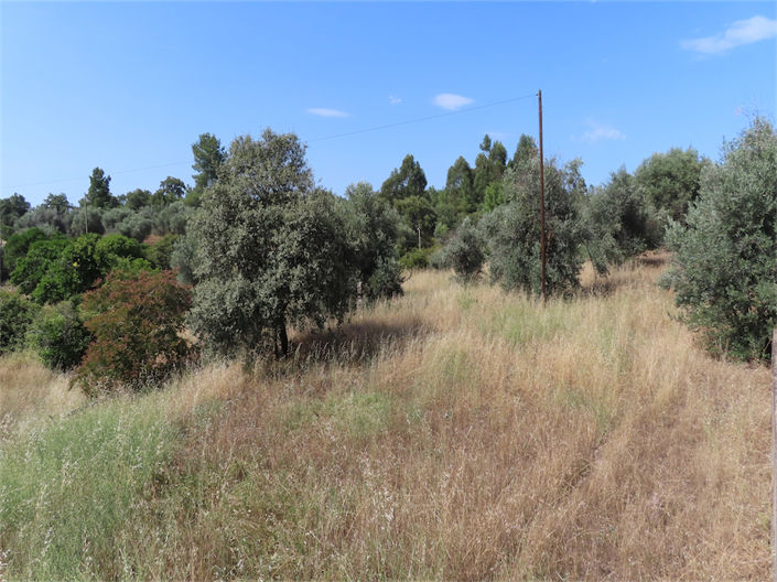 Image No.30-Propriété de 3 chambres à vendre à Castelo Branco