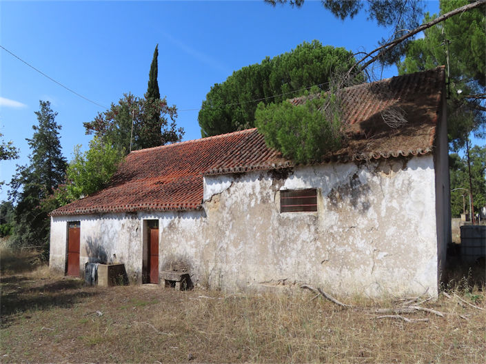 Image No.36-Propriété de 3 chambres à vendre à Castelo Branco
