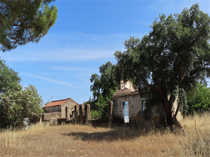 Image No.38-Propriété de 3 chambres à vendre à Castelo Branco