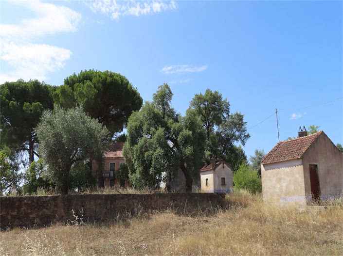 Image No.3-Propriété de 3 chambres à vendre à Castelo Branco