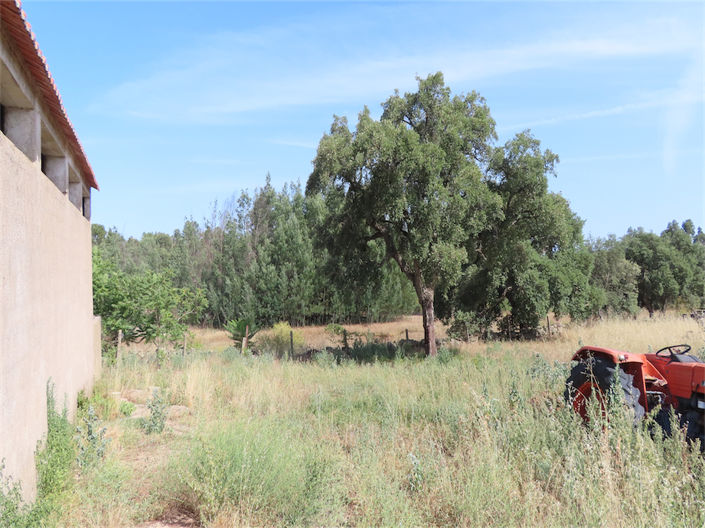 Image No.40-Propriété de 3 chambres à vendre à Castelo Branco