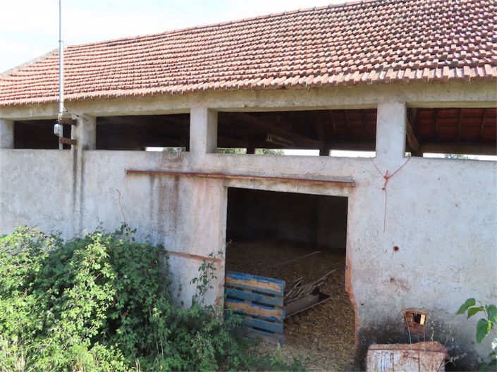 Image No.42-Propriété de 3 chambres à vendre à Castelo Branco