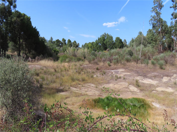 Image No.43-Propriété de 3 chambres à vendre à Castelo Branco