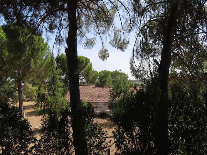 Image No.45-Propriété de 3 chambres à vendre à Castelo Branco