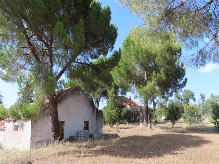 Image No.47-Propriété de 3 chambres à vendre à Castelo Branco