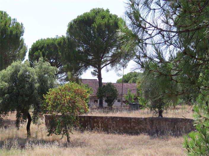 Image No.4-Propriété de 3 chambres à vendre à Castelo Branco