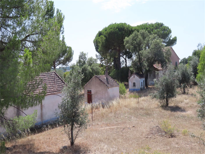 Image No.6-Propriété de 3 chambres à vendre à Castelo Branco