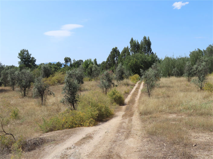 Image No.7-Propriété de 3 chambres à vendre à Castelo Branco