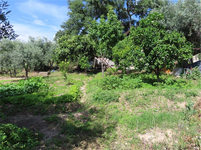 Image No.10-Propriété à vendre à Castelo Branco