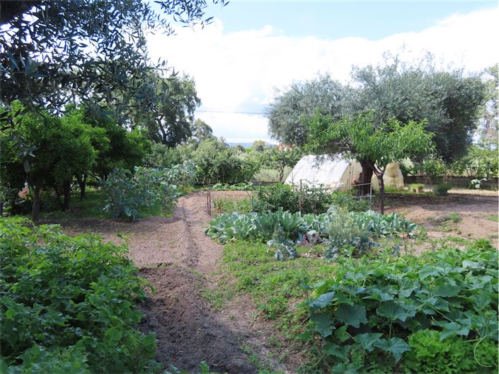 Image No.11-Propriété à vendre à Castelo Branco