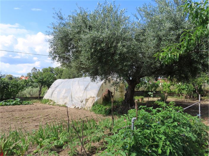 Image No.12-Propriété à vendre à Castelo Branco