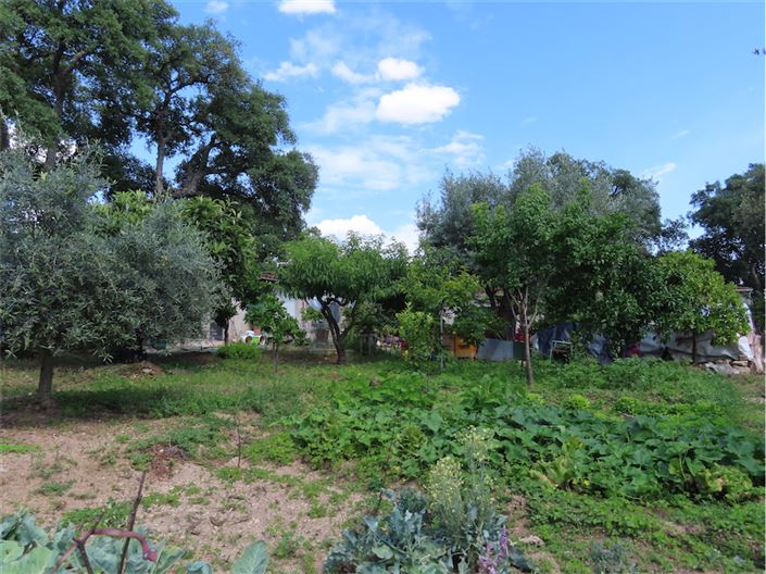 Image No.13-Propriété à vendre à Castelo Branco