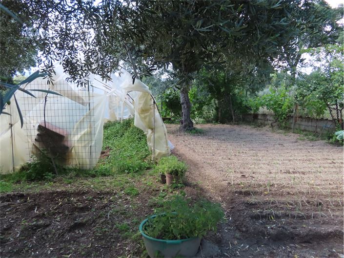 Image No.14-Propriété à vendre à Castelo Branco