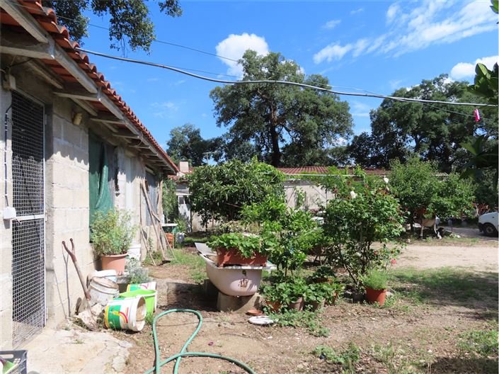 Image No.17-Propriété à vendre à Castelo Branco