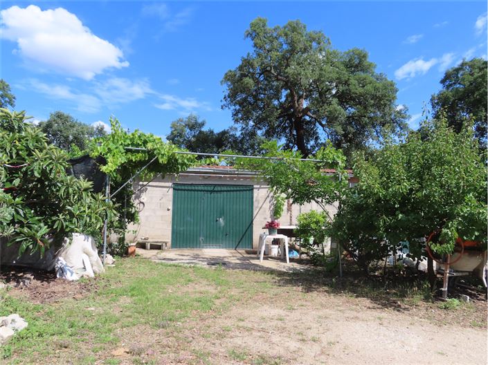 Image No.18-Propriété à vendre à Castelo Branco