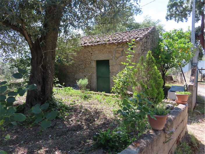 Image No.2-Propriété à vendre à Castelo Branco