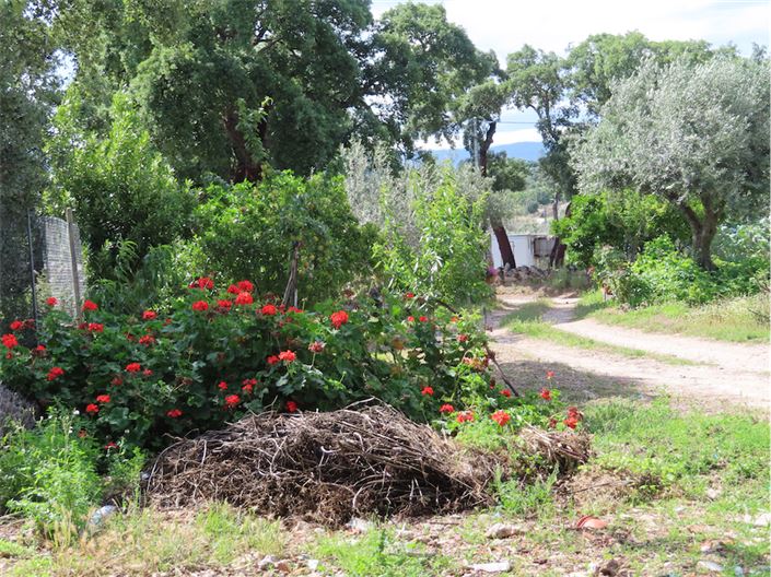 Image No.21-Propriété à vendre à Castelo Branco