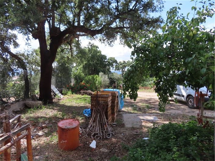 Image No.31-Propriété à vendre à Castelo Branco