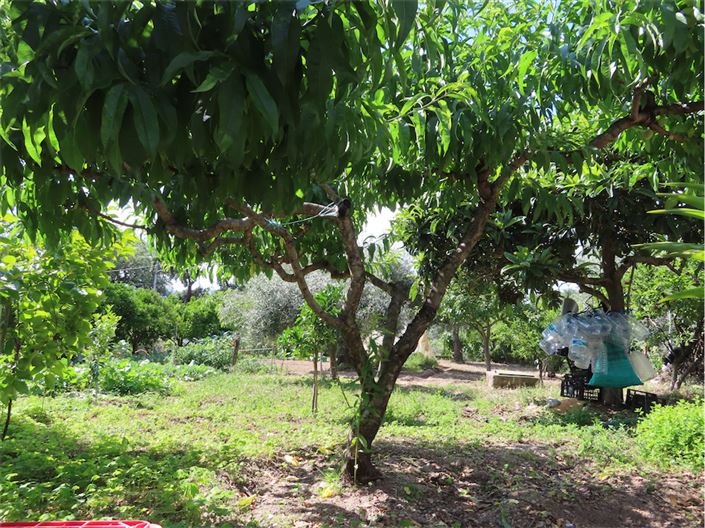 Image No.34-Propriété à vendre à Castelo Branco