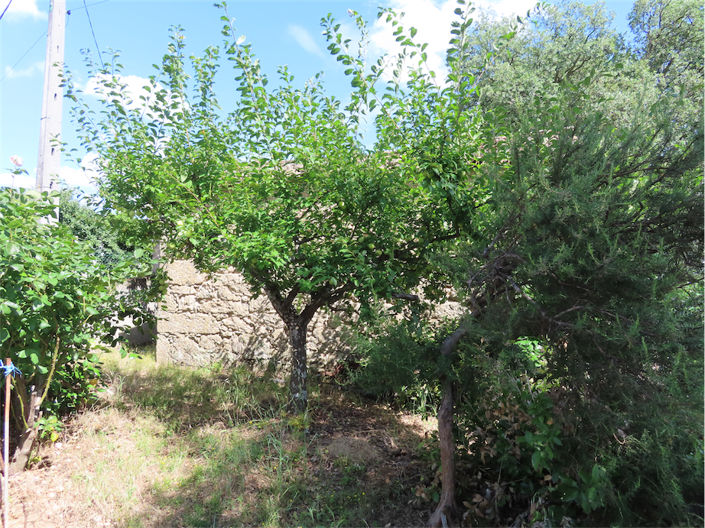 Image No.4-Propriété à vendre à Castelo Branco