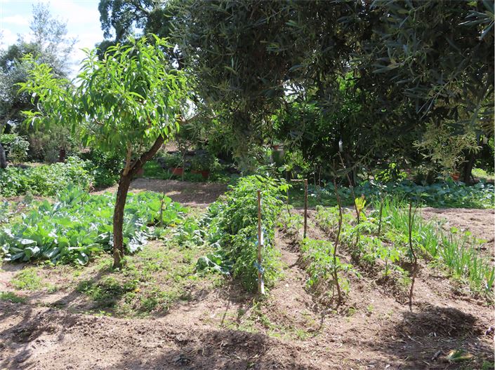 Image No.42-Propriété à vendre à Castelo Branco