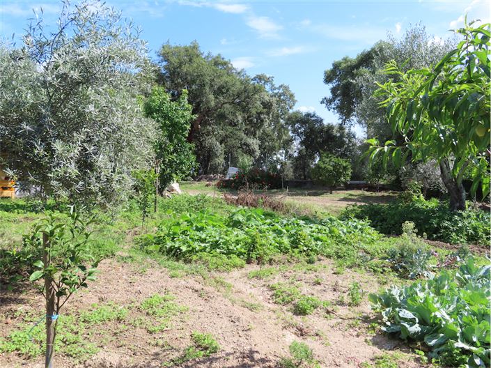 Image No.43-Propriété à vendre à Castelo Branco