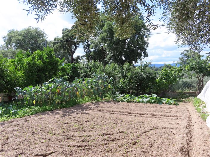 Image No.44-Propriété à vendre à Castelo Branco