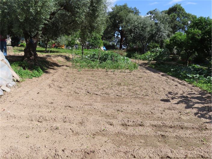 Image No.45-Propriété à vendre à Castelo Branco