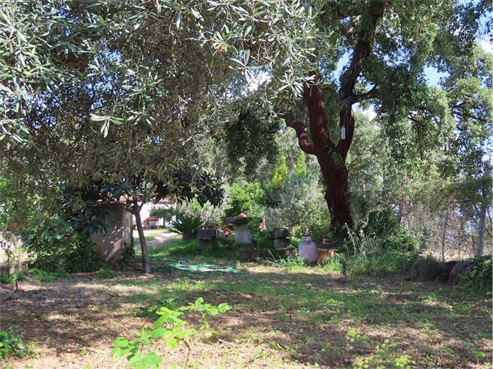 Image No.48-Propriété à vendre à Castelo Branco