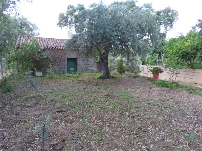 Image No.6-Propriété à vendre à Castelo Branco