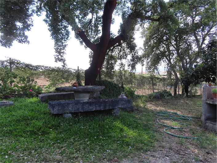 Image No.7-Propriété à vendre à Castelo Branco