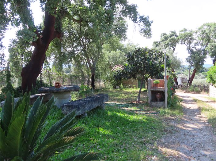 Image No.8-Propriété à vendre à Castelo Branco