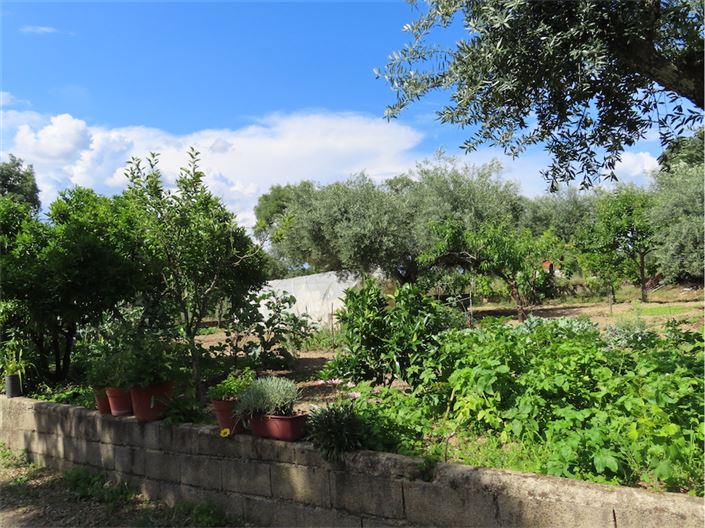 Image No.9-Propriété à vendre à Castelo Branco