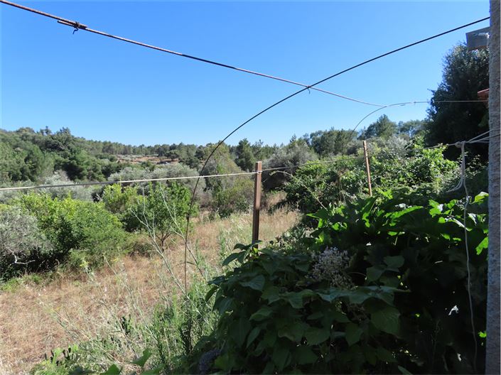 Image No.10-Propriété de 2 chambres à vendre à Castelo Branco