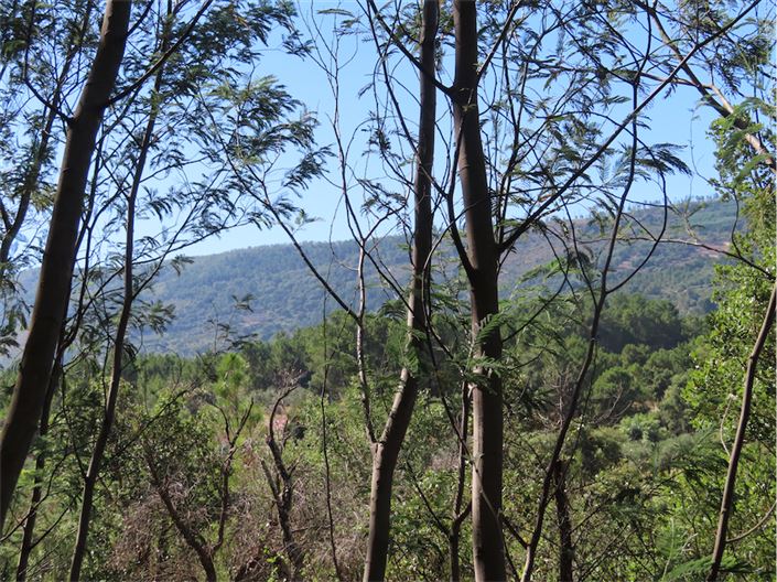 Image No.14-Propriété de 2 chambres à vendre à Castelo Branco
