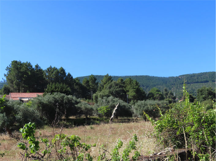 Image No.2-Propriété de 2 chambres à vendre à Castelo Branco