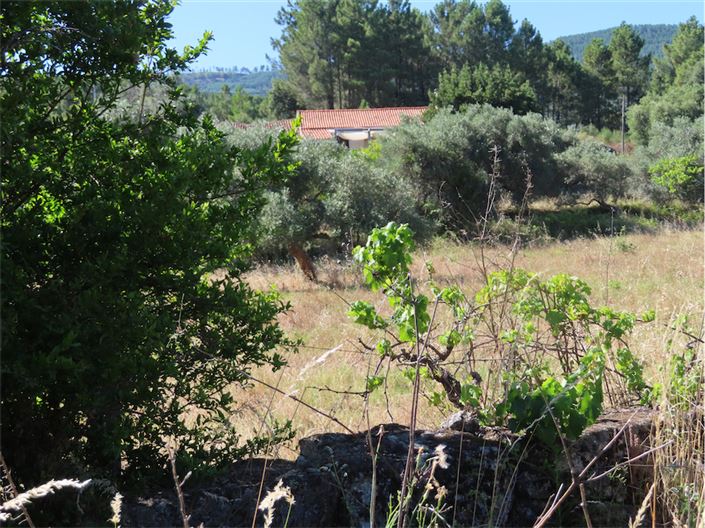 Image No.3-Propriété de 2 chambres à vendre à Castelo Branco