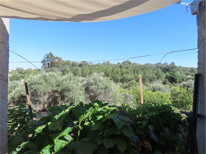 Image No.30-Propriété de 2 chambres à vendre à Castelo Branco