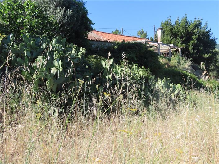 Image No.32-Propriété de 2 chambres à vendre à Castelo Branco