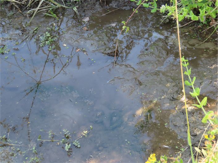 Image No.33-Propriété de 2 chambres à vendre à Castelo Branco