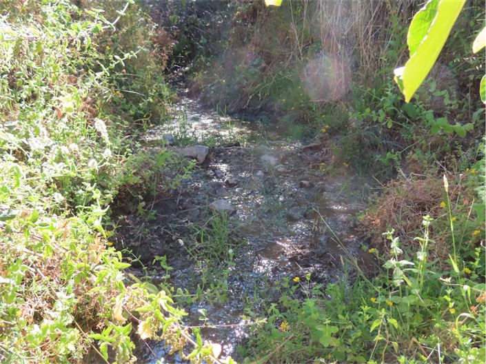 Image No.34-Propriété de 2 chambres à vendre à Castelo Branco