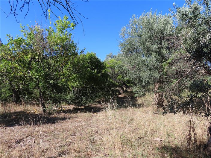 Image No.37-Propriété de 2 chambres à vendre à Castelo Branco